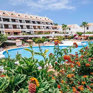https://studio-parque-santiago-1-o005.tenerifehoteles.net